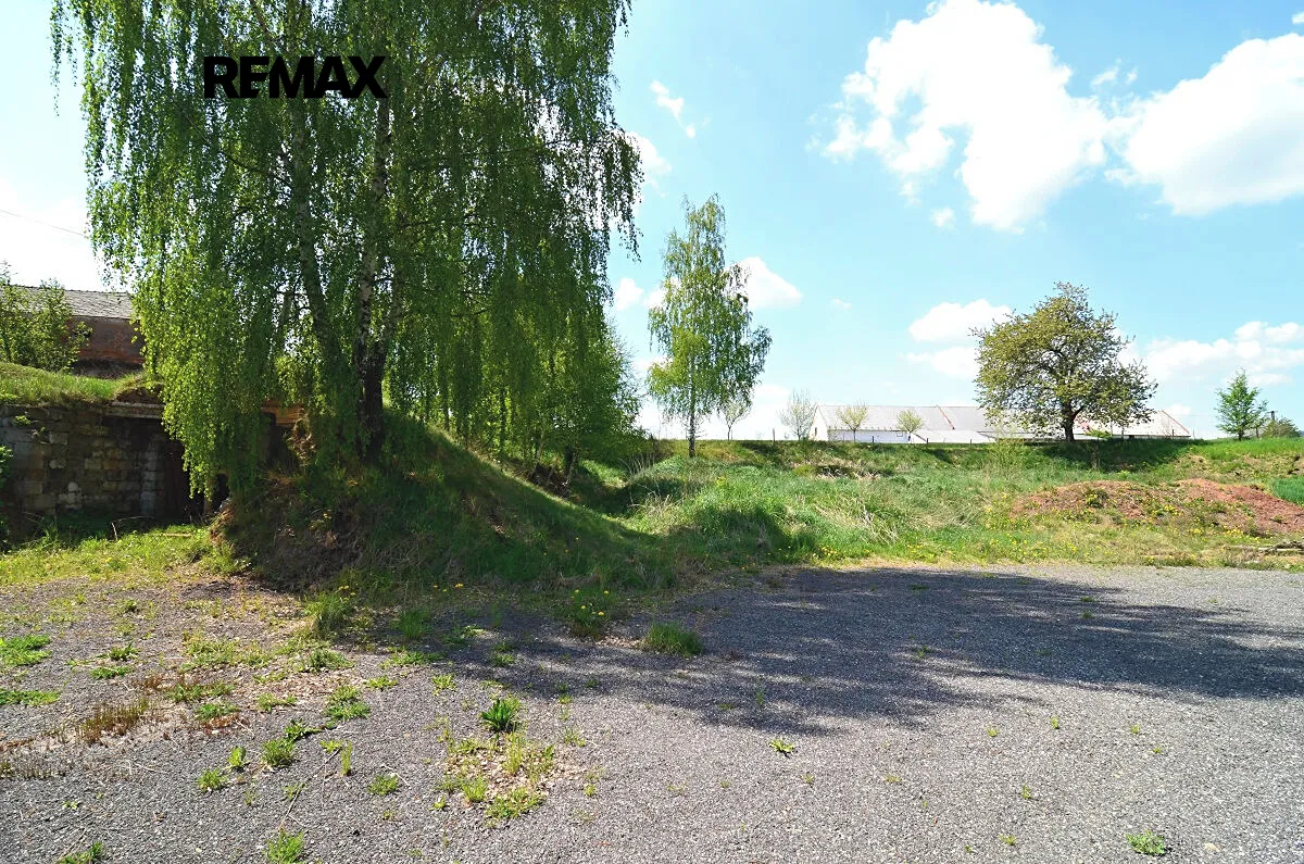 Fotka 14 z 16